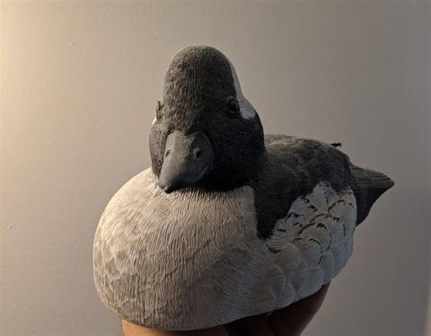 Full-size bufflehead duck carved from basswood, with feather detail added through wood burning and finished with acrylic paint.