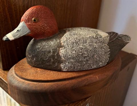 Half-size redhead duck carved from basswood, with feather detail added through wood burning and finished with acrylic paint, mounted on a walnut base.